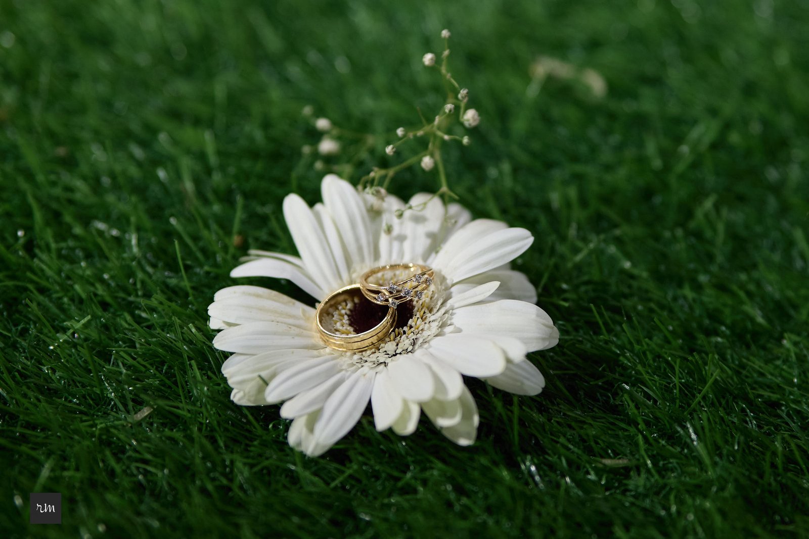 Engagement Ring Photos